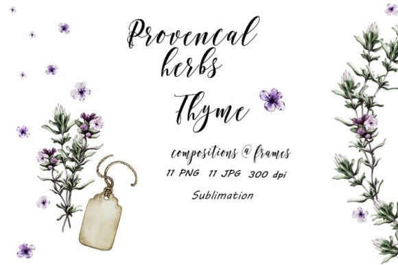 Download Thyme Provence Herbs Sublimation JPG PNG - Provence Collection